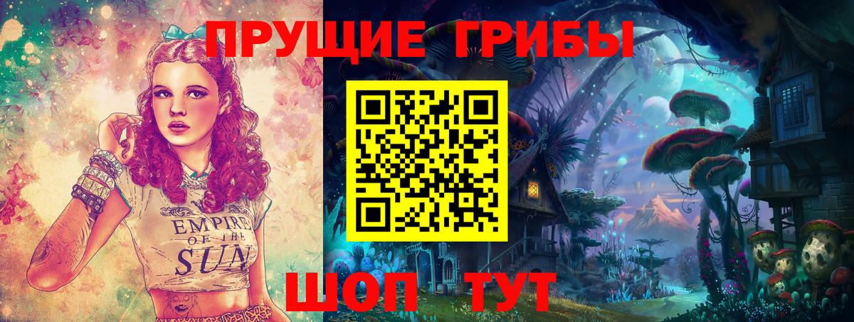 как найти закладки  Галлюциногенные грибы Cubensis  Вход с VPN  Кохма 